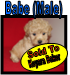 Text Box: Available Puppies