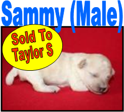 Sold