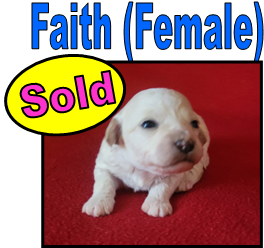 Text Box: Keith & Janease Linenbrink
16424 State Hwy 37 Bus
Cassville MO 65625
Our e-mail:
keithlinenbrink@yahoo.com
OR
klinenbrink@centurytel.net
Home Phone: 417-847-4970
Cell Phone: 417-576-0058